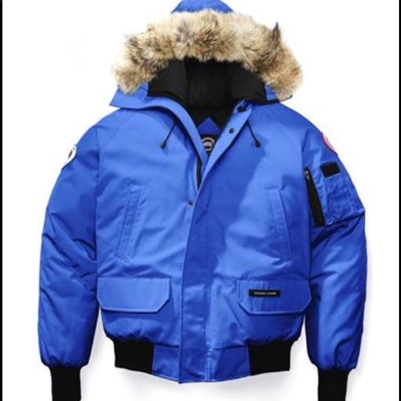 Small Chilliwack Canadian goose Winter coat - Picture 3 of 3